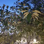 Aleksandra We Wielu Z Widokiem Na Jezioro Lägenhet *