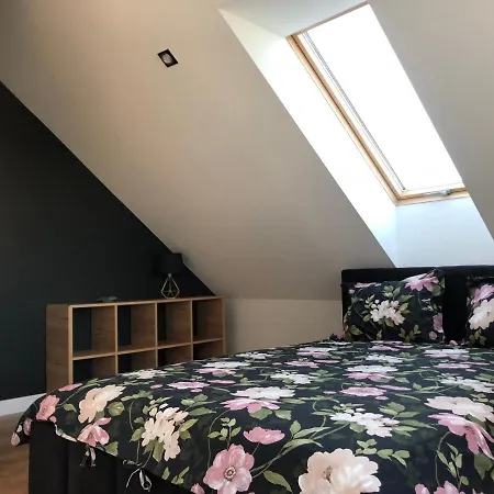 Apartmán Aleksandra We Wielu Z Widokiem Na Jezioro Wiele