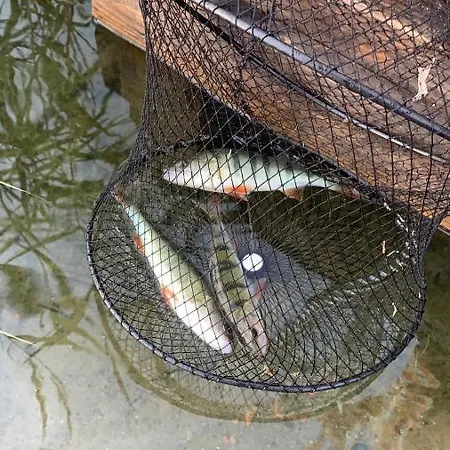 Aleksandra We Wielu Z Widokiem Na Jezioro דירה