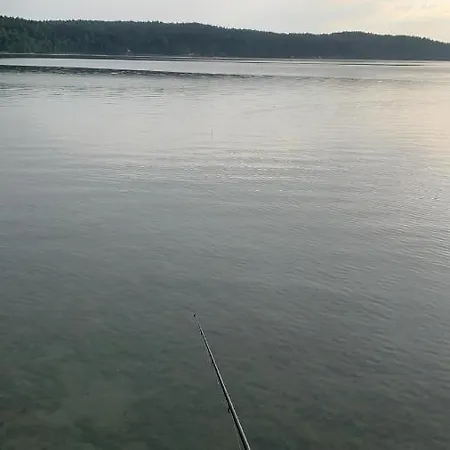 Aleksandra We Wielu Z Widokiem Na Jezioro דירה *