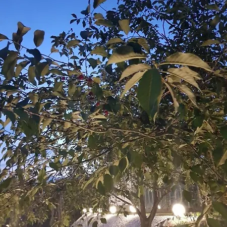 Aleksandra We Wielu Z Widokiem Na Jezioro דירה *