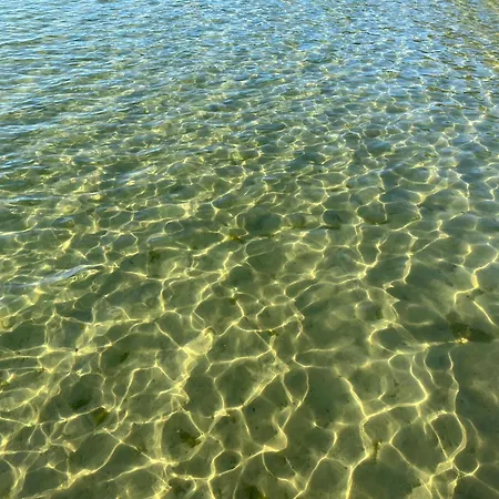 Aleksandra We Wielu Z Widokiem Na Jezioro Apartament