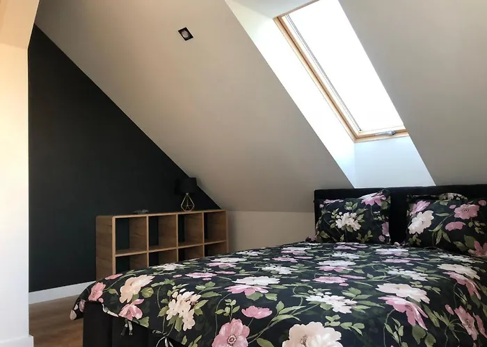 Apartament Aleksandra We Wielu Z Widokiem Na Jezioro Wiele