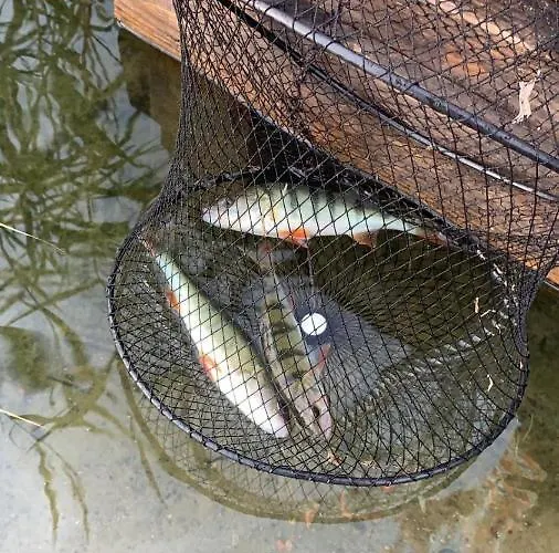 Aleksandra We Wielu Z Widokiem Na Jezioro Апартаменты