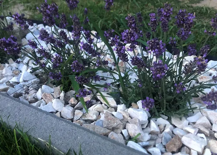 Апартаменты Aleksandra We Wielu Z Widokiem Na Jezioro *