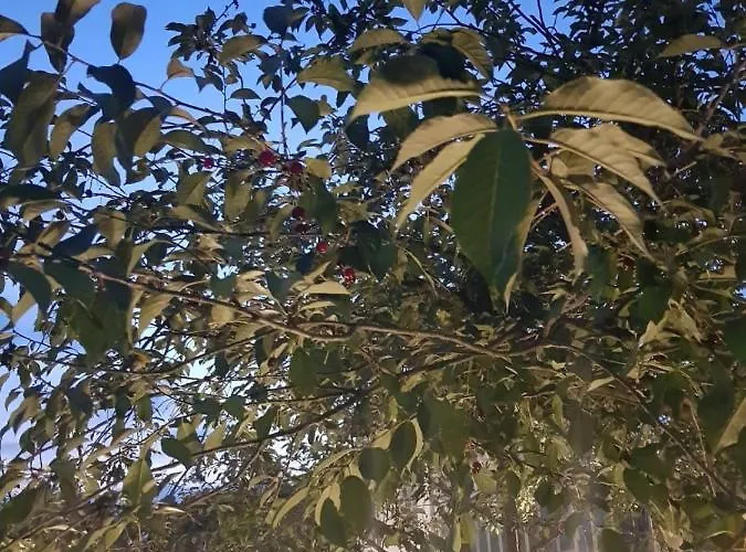 Aleksandra We Wielu Z Widokiem Na Jezioro Apartament *